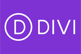 How to hide the titles in a image? Divi